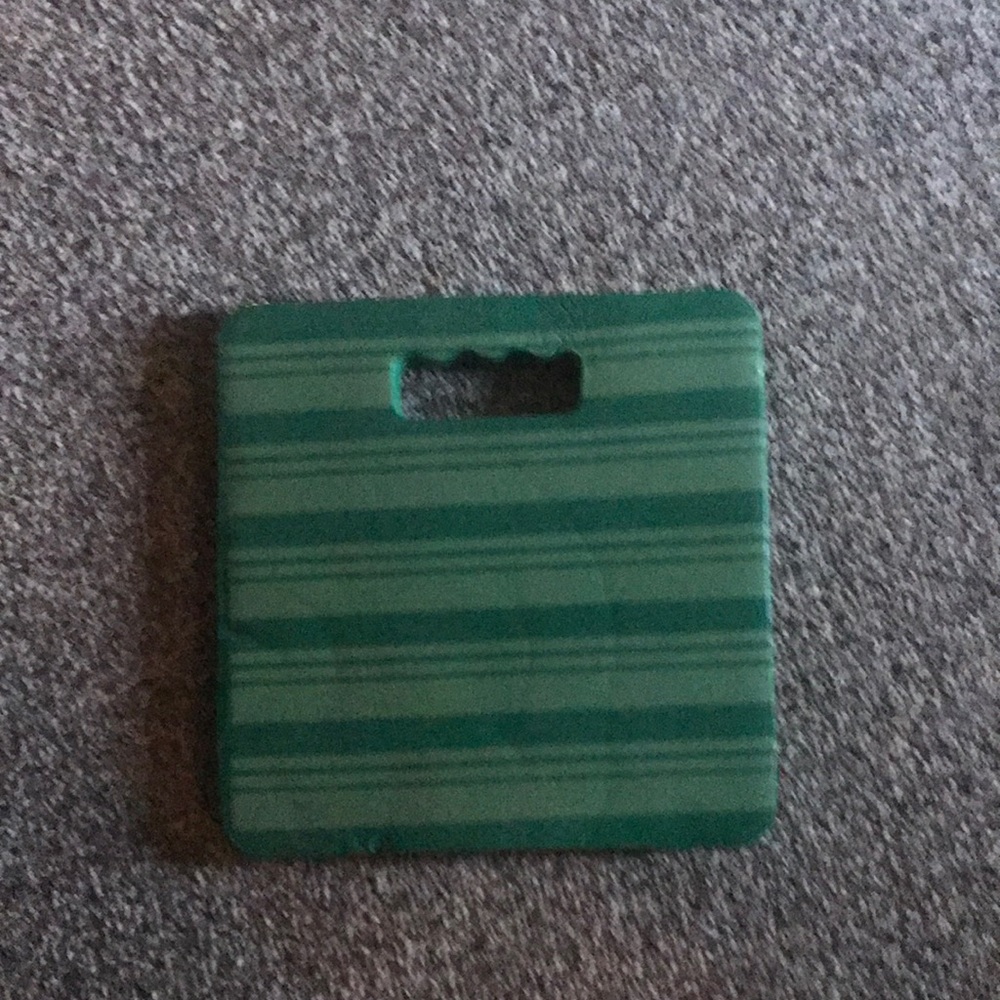 Seat cushion